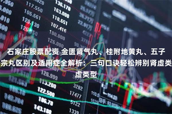 石家庄股票配资 金匮肾气丸、桂附地黄丸、五子衍宗丸区别及适用症全解析：三句口诀轻松辨别肾虚类型